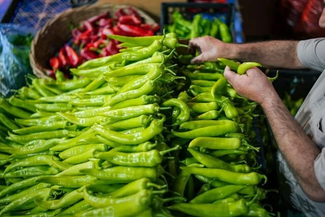 Mercado de San Juan