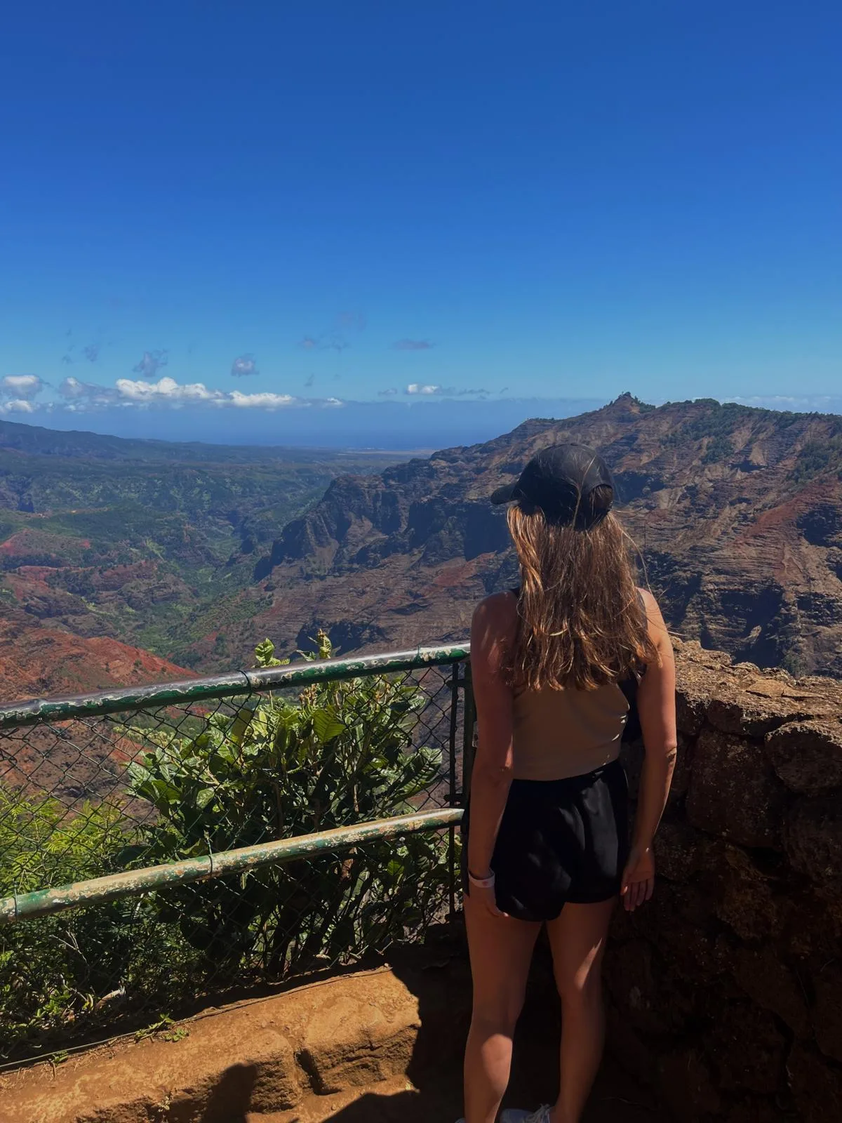 Waimea Canyon