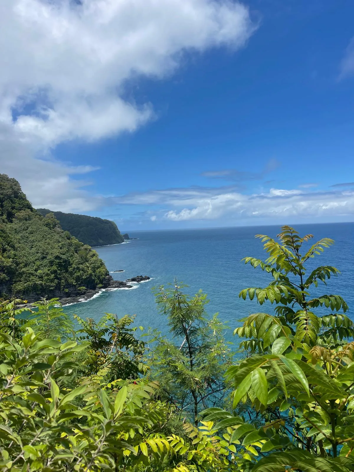 Road to Hana